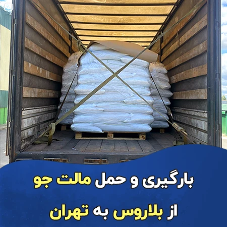حمل زمینی مالت جو از ایواناوا به تهران